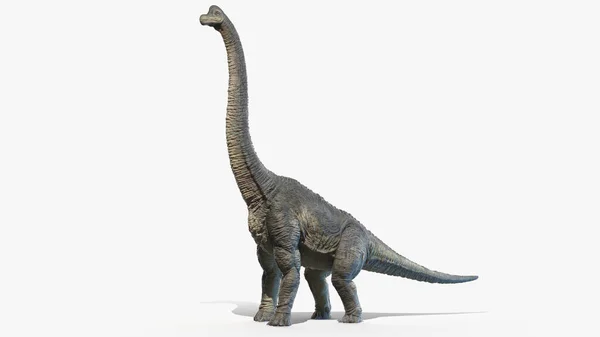 ブラチオサウルスは白地に隔離されイラスト — ストック写真