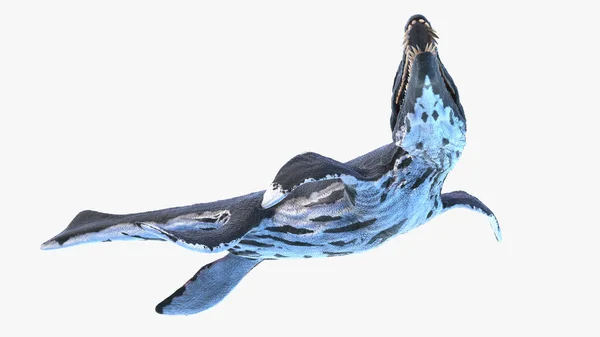 Liopleurodon Isolerad Vit Bakgrund Illustration — Stockfoto