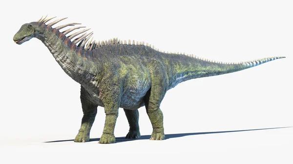 Амаргазавр Изолирован Белом Фоне Иллюстрация — стоковое фото