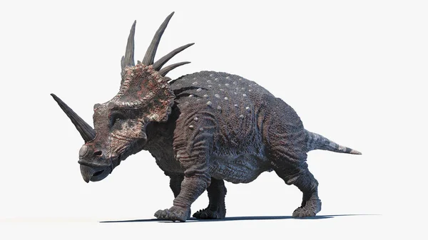 Styracosaurus Izolovaný Bílém Pozadí Ilustrace — Stock fotografie