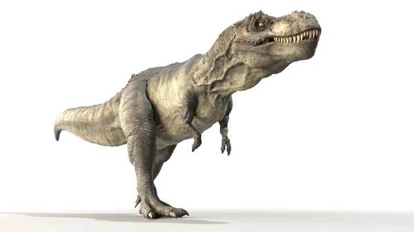 Tyrannosaurus Rex Beyaz Arkaplanda Izole Edildi Illüstrasyon — Stok fotoğraf