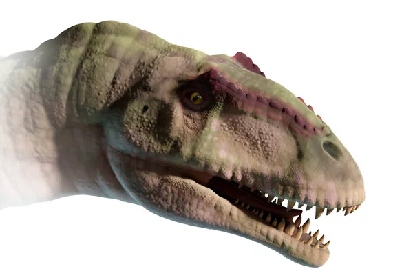 Giganotosaurus Carolinii 머리에 연구입니다 최상위 포식자는 9900 아르헨티나 백악기 후기에 — 스톡 사진
