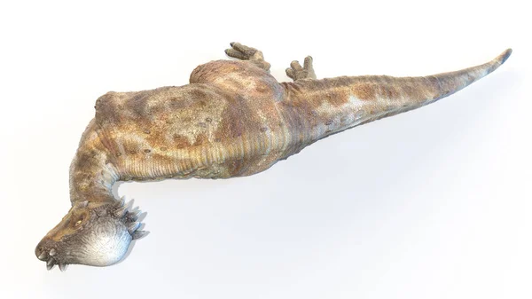 Pachycefalozaur Izolowany Białym Tle Ilustracja — Zdjęcie stockowe