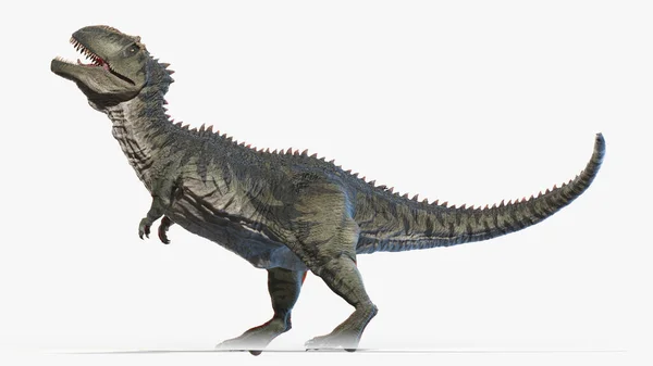 Giganotosaurus Isolé Sur Fond Blanc Illustration — Photo