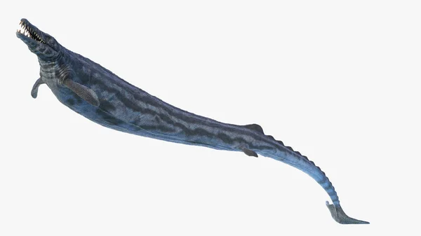 Basilosaurus Isoliert Auf Weißem Hintergrund Illustration — Stockfoto