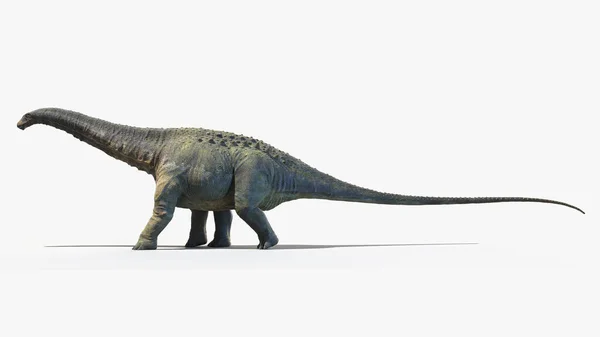 Apatosaurus Izolované Bílém Pozadí Ilustrace — Stock fotografie
