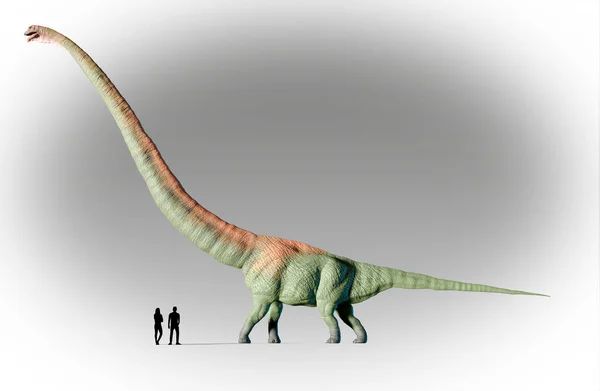 Oeuvre Dinosaure Mamenchisaurus Comparée Homme Échelle — Photo