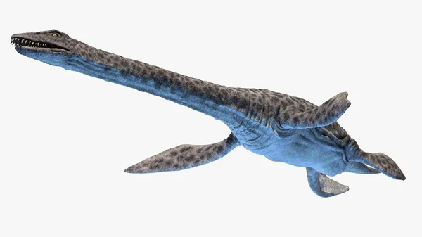 Plesiosaurus Izolované Bílém Pozadí Ilustrace — Stock fotografie