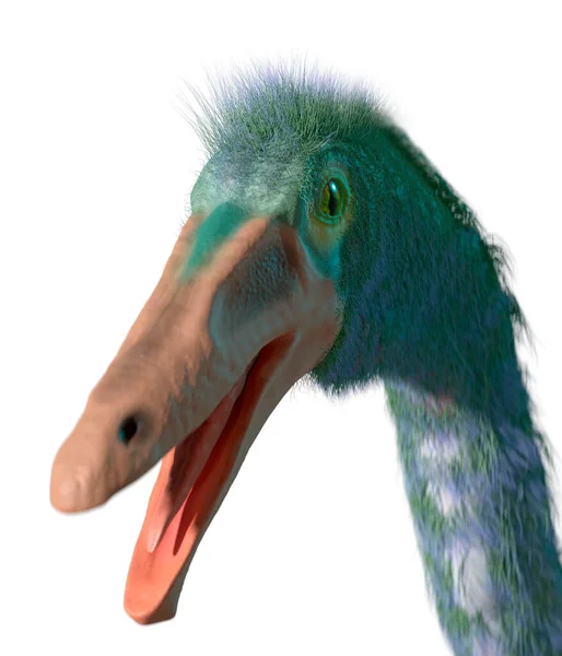 Kunstwerk Van Het Hoofd Van Dinosaurus Gallimimus Dit Uitgestorven Struisvogelachtig — Stockfoto