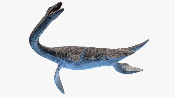 Beyaz Arkaplanda Izole Edilmiş Plesiosaurus Resimleme — Stok fotoğraf