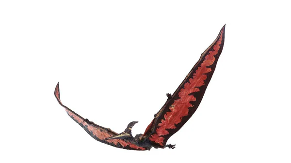 Pteranodon Isolerad Vit Bakgrund Illustration — Stockfoto