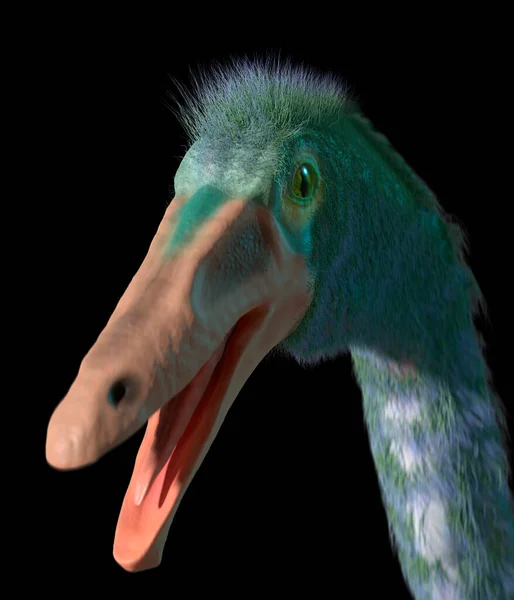 Dinozor Gallimimus Başındaki Sanat Eseri Nesli Tükenmiş Devekuşu Benzeri Hayvan — Stok fotoğraf