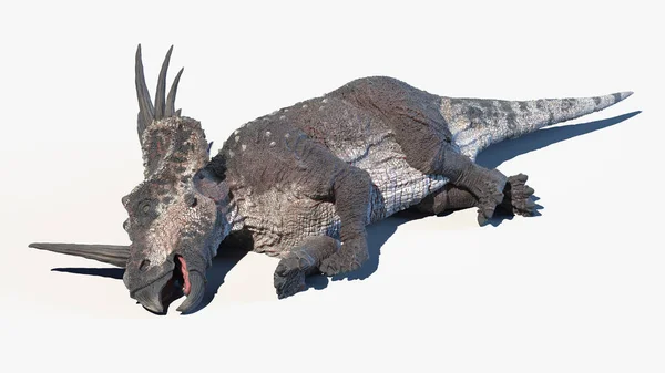 Styracosaurus Elszigetelt Fehér Háttér Illusztráció — Stock Fotó