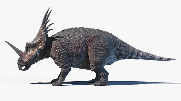 Styracosaurus กแยกจากพ นหล ขาว ภาพวาด — ภาพถ่ายสต็อก