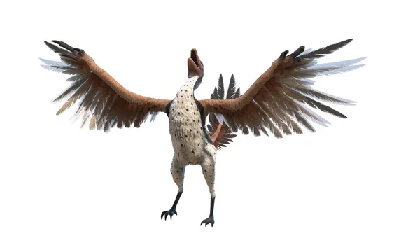 Archaeopteryx Isolerad Vit Bakgrund Illustration — Stockfoto