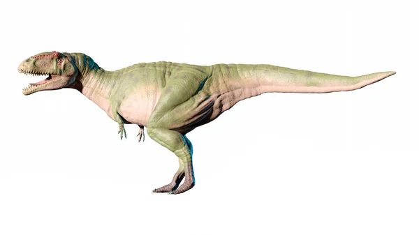 Obra Arte Del Dinosaurio Terópodo Giganotosaurus Carolinii — Foto de Stock
