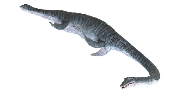 Elasmosaurus Isolated White Background Illustration — Stock Photo, Image