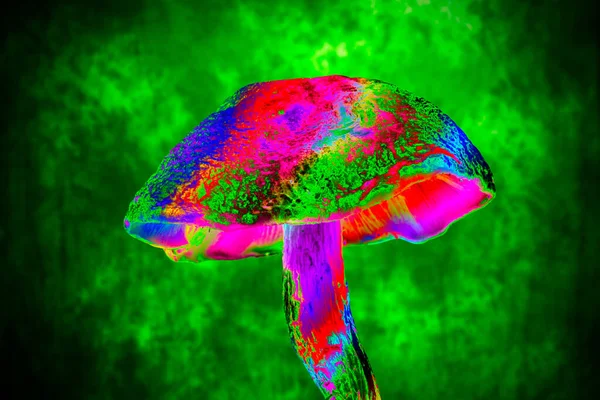 Magic Mushrooms Illustration — Stock Photo, Image