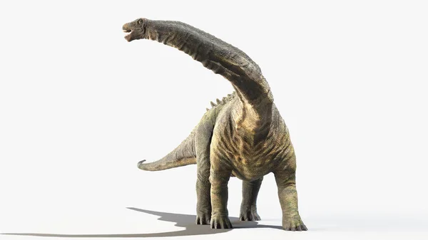 Апатозавр Изолирован Белом Фоне Иллюстрация — стоковое фото