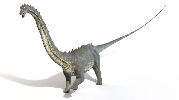 Diplodocus Beyaz Arka Planda Izole Edilmiş Illüstrasyon — Stok fotoğraf