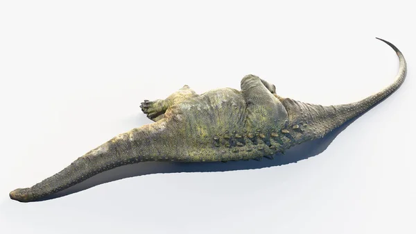 Апатозавр Изолирован Белом Фоне Иллюстрация — стоковое фото