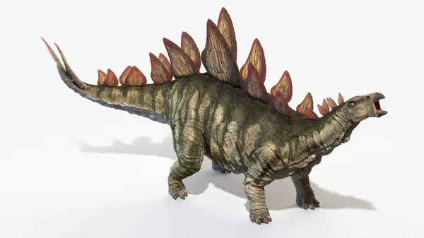 Stegosaurus Aislado Sobre Fondo Blanco Ilustración — Foto de Stock