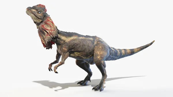 ディロポサウルスは白い背景に孤立しており イラストは — ストック写真