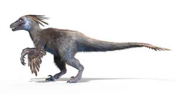 Velociraptor Isolado Sobre Fundo Branco Ilustração — Fotografia de Stock