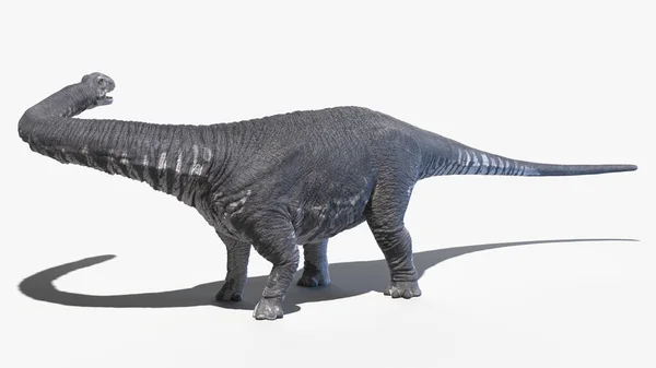 アルゼンチノサウルスは白地に隔離されイラストは — ストック写真