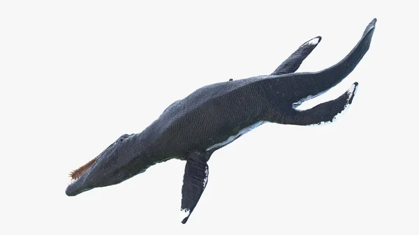 Liopleurodon Isoliert Auf Weißem Hintergrund Illustration — Stockfoto