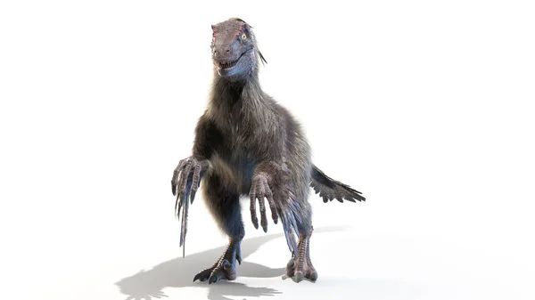 Velociraptor Isolerad Vit Bakgrund Illustration — Stockfoto
