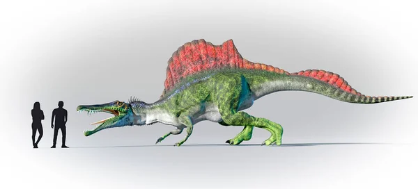 人間とスピノサウルスの相対的な規模を示す作品 15M16M 4953Ft の長さまで成長するこの大きな熱帯域は 現在の北アフリカの白亜紀の衰退期に9900万年前に生息していた それは — ストック写真