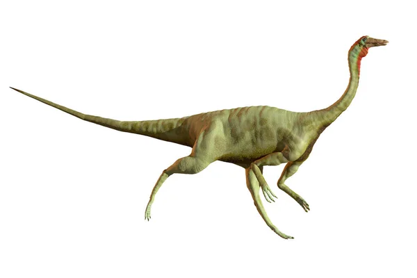 恐竜Struthiomimusの作品 絶滅したダチョウのようなこの動物は 約7000万年前の白亜紀後期に現在の北米に生息していた — ストック写真