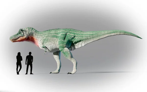 Tyrannosaurus Rex Vergeleken Met Mensen Kunstwerk — Stockfoto