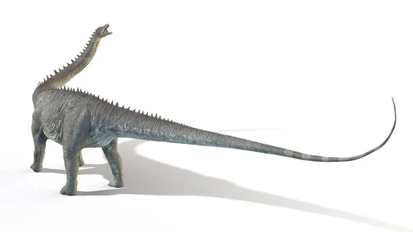 Diplodocus Elszigetelt Fehér Háttér Illusztráció — Stock Fotó