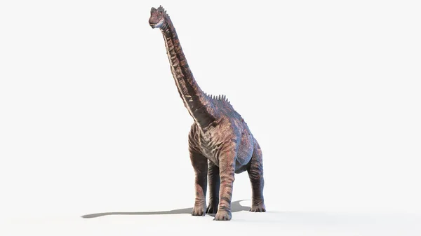Europasaurus Izolovaný Bílém Pozadí Ilustrace — Stock fotografie