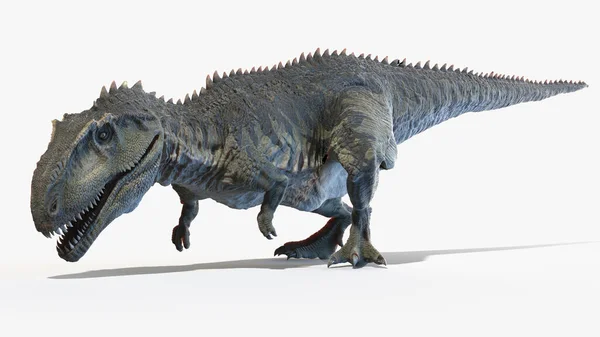 Giganotosaurus Isolated White Background Illustration — Stock Photo, Image