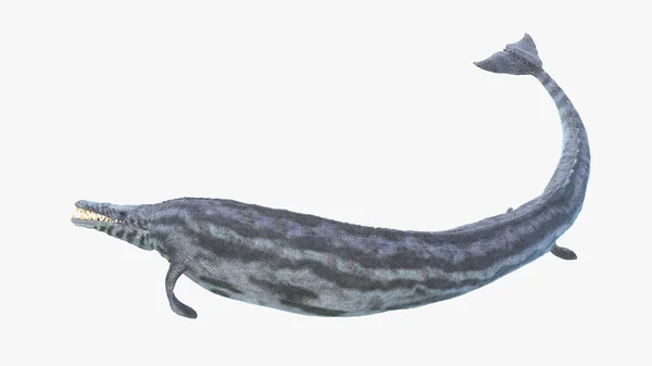 Василозавр Ізольований Білому Тлі Ілюстрація — стокове фото