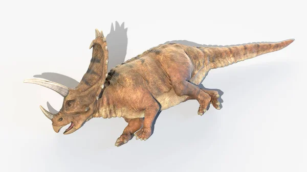 Pentaceratops Beyaz Arkaplanda Izole Edilmiş Illüstrasyon — Stok fotoğraf
