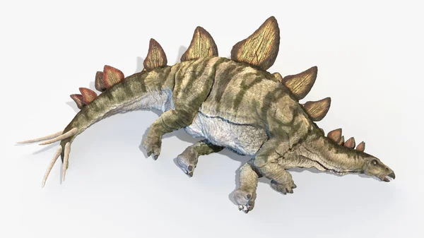 Stegosaurus Isolé Sur Fond Blanc Illustration — Photo