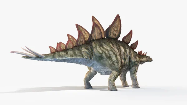 Stegosaurus Isolated White Background Illustration — Stock Photo, Image