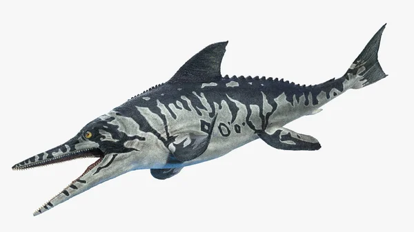 Ichthyosaurus Geïsoleerd Witte Achtergrond Illustratie — Stockfoto