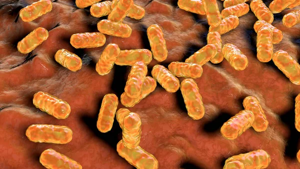 Enterobacter Bactéries Illustration Sont Des Bactéries Bacilles Gram Négatif Forme — Photo
