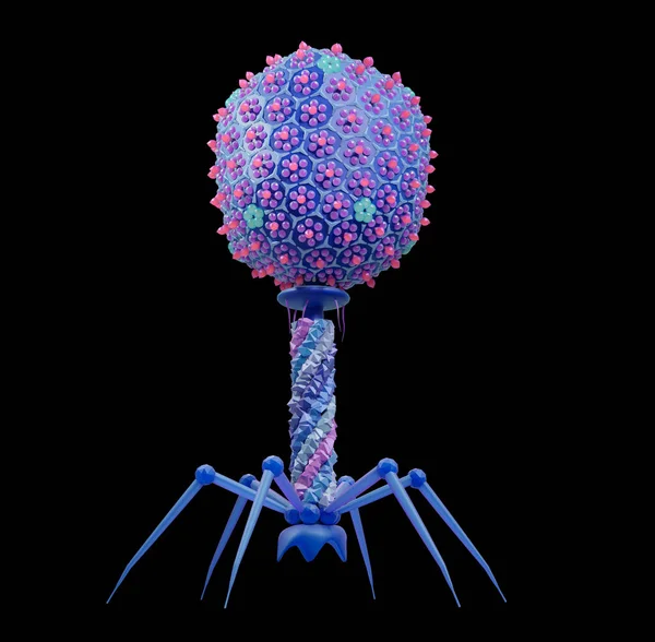 Bacteriophage Illustration Bacteriophages Parasites Escherichia Coli Bacterium Common Human Gut — Stock Photo, Image