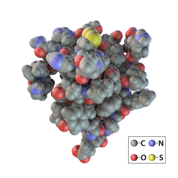 Inzulin Molekula Számítógépes Modell Amely Inzulin Nevű Hormon Molekulájának Szerkezetét — Stock Fotó