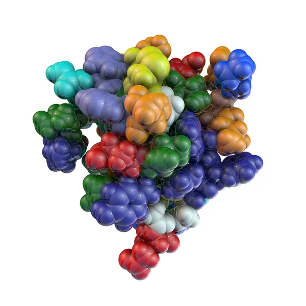 Molekuła Insuliny Model Komputerowy Pokazujący Strukturę Cząsteczki Insuliny Hormonalnej Insulina — Zdjęcie stockowe
