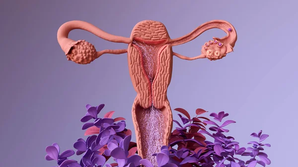 Сперма Путешествует Оплодотворить Яйцеклетку Иллюстрация — стоковое фото