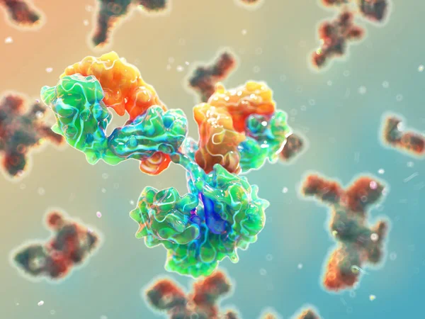 Igg抗体的说明 被称为免疫球蛋白 它们具有Y形结构 允许抗原结合 — 图库照片