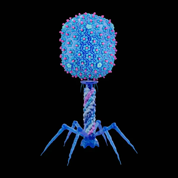 Бактериофаг Иллюстрация Бактериофаги Являются Паразитами Кишечной Палочки Escherichia Coli Бактерии — стоковое фото
