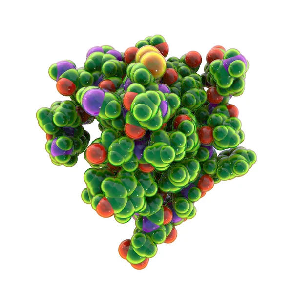 Nsülin Molekülü Bilgisayar Modeli Hormon Insülin Molekülünün Yapısını Gösteriyor Nsülin — Stok fotoğraf